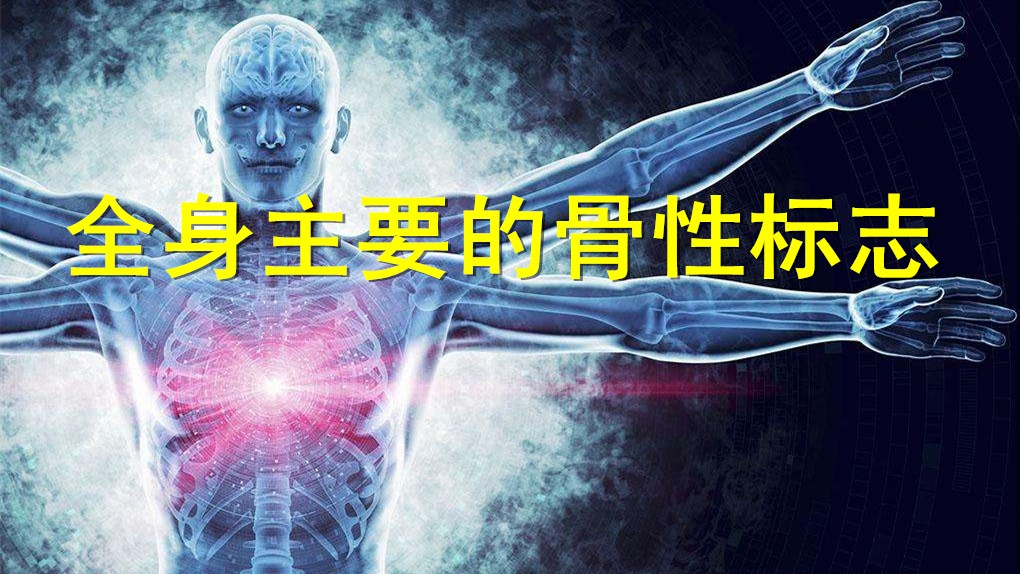 全身主要的骨性标志