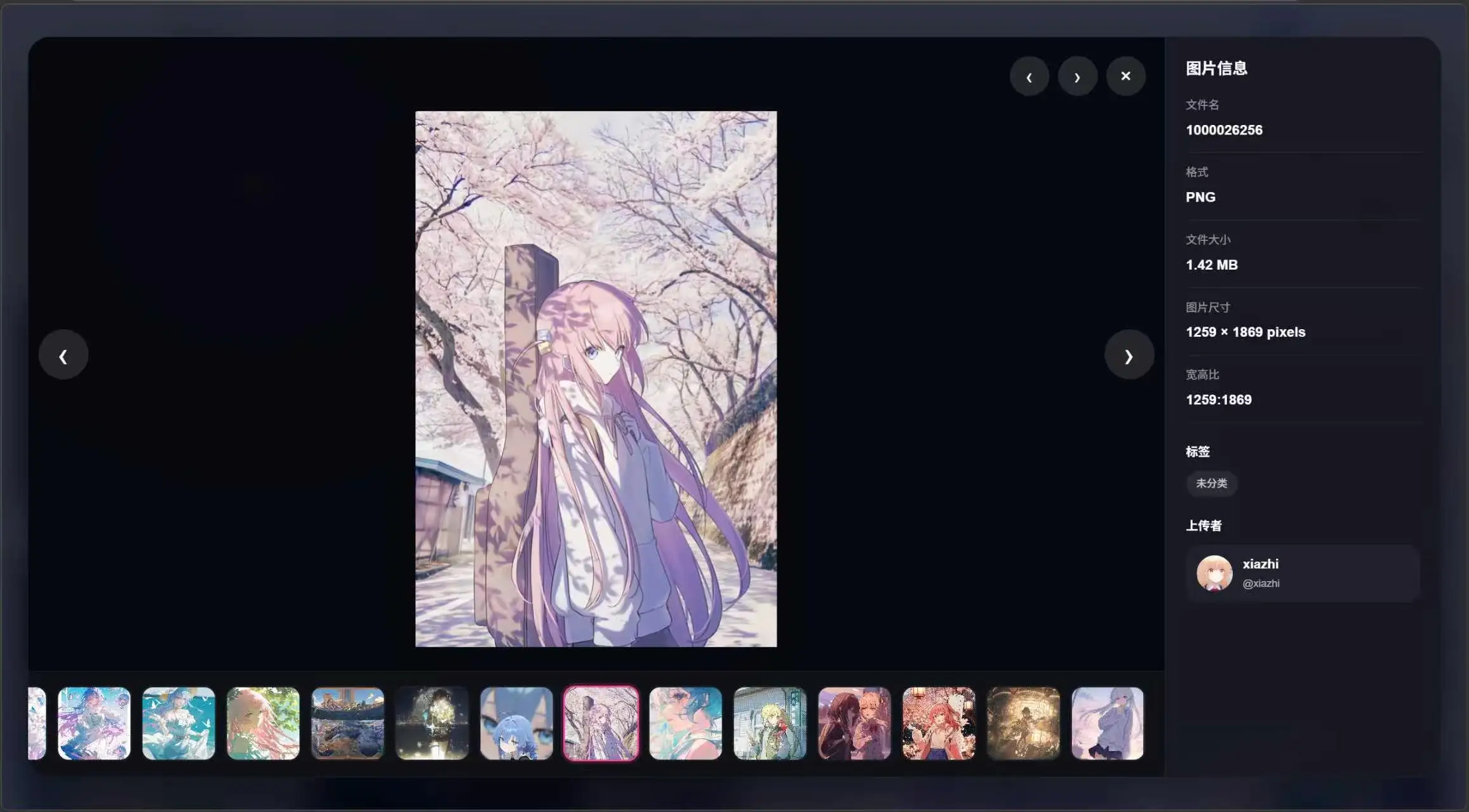 图片[2]-子比主题 – 相册lsky pro插件-语初博客