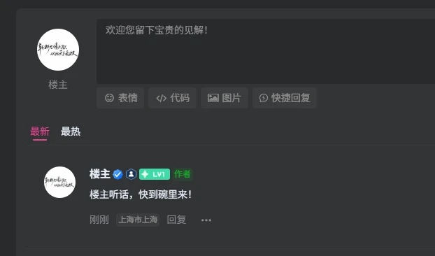 子比主题 - IP归属地增强插件-语初博客