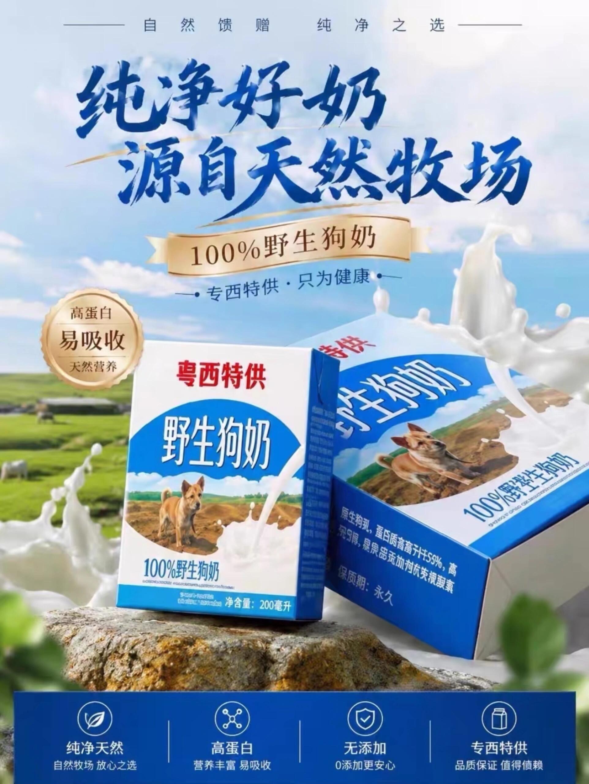 Ai工具提升wordpress内容创作效率-语初测试站