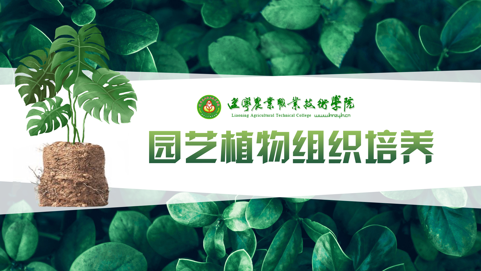 包含智慧职教mooc学院怎么刷课的词条